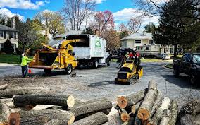 Best Lawn Mowing  in Lake City, GA