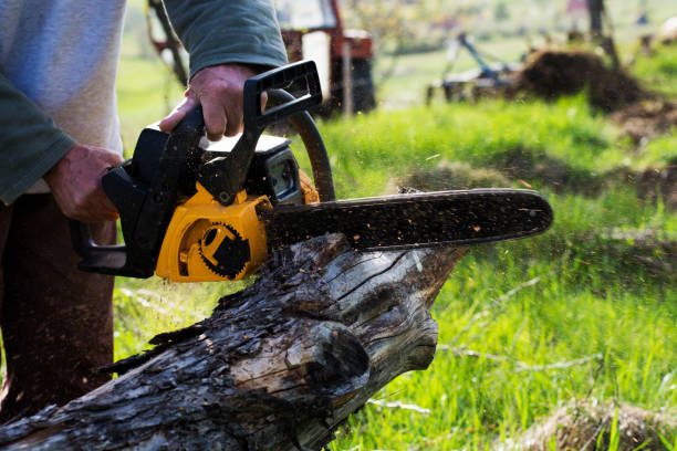 Best Lawn Pest Prevention  in Lake City, GA