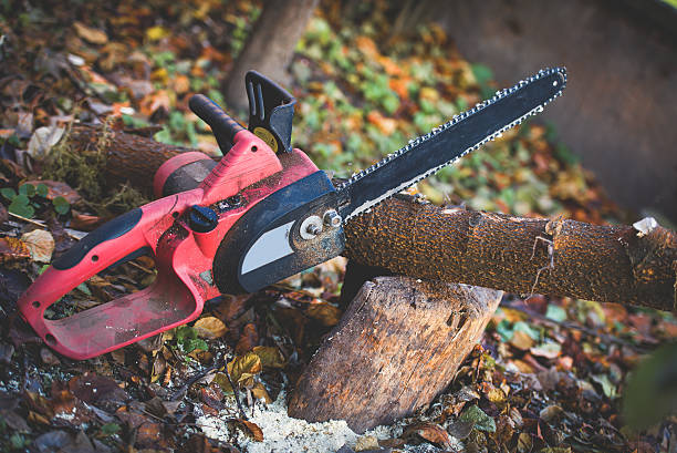 Best Tree Risk Assessment  in Lake City, GA