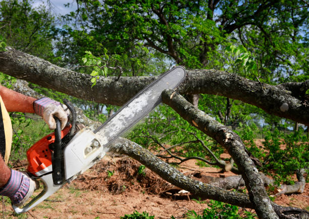 Best Soil Testing and Treatment  in Lake City, GA